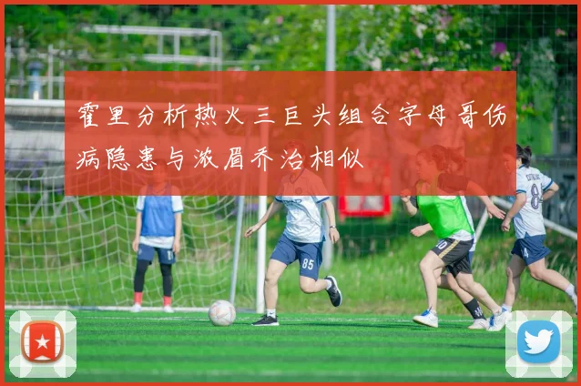 霍里分析热火三巨头组合字母哥伤病隐患与浓眉乔治相似